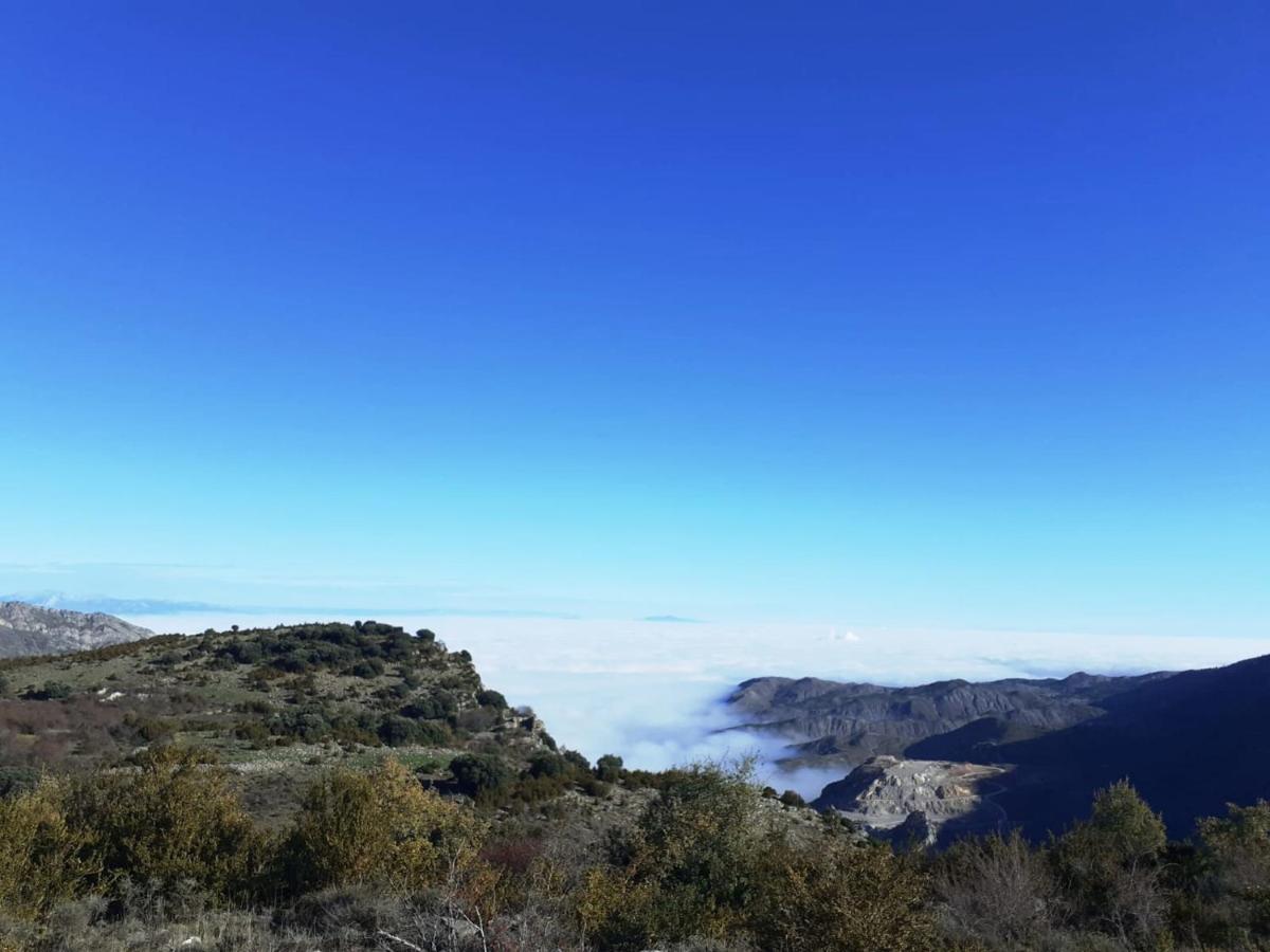 Casasdetrevijano Canon Del Rio Leza Soto en Cameros 외부 사진